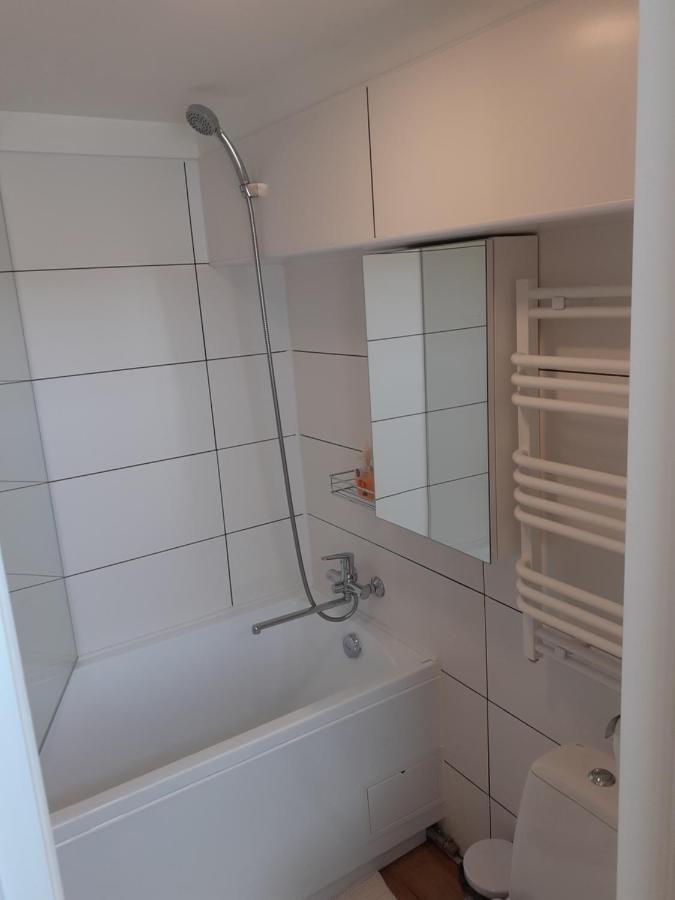 Lovely 1-Bedroom Apartment In Kaunas Old Town Ngoại thất bức ảnh